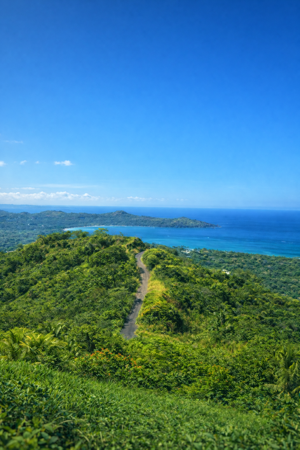 Hiking trail through tropical forest with ocean views, Mar Vista